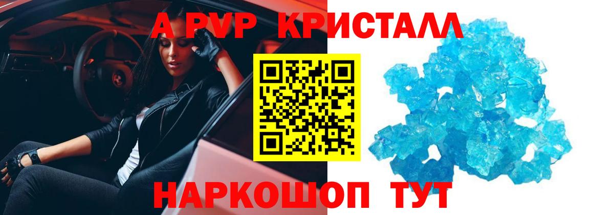 A PVP СК Элиста