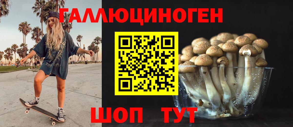 Галлюциногенные грибы мухоморы  Псилоцибиновые грибы Magic Shrooms  Элиста  Вход с VPN 