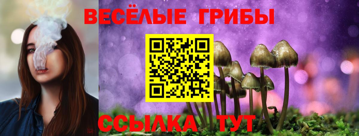 LSD-25 Элиста